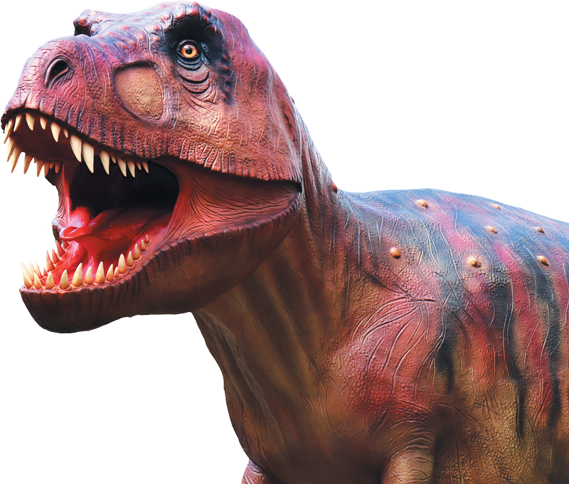Parc Dino-Zoo - T-rex
