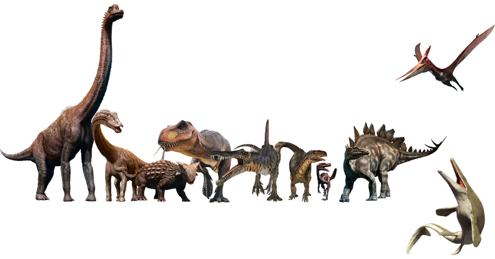 Fresque des dinosaures du park Dino-Zoo