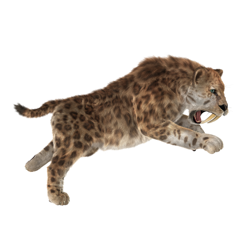 Le smilodon