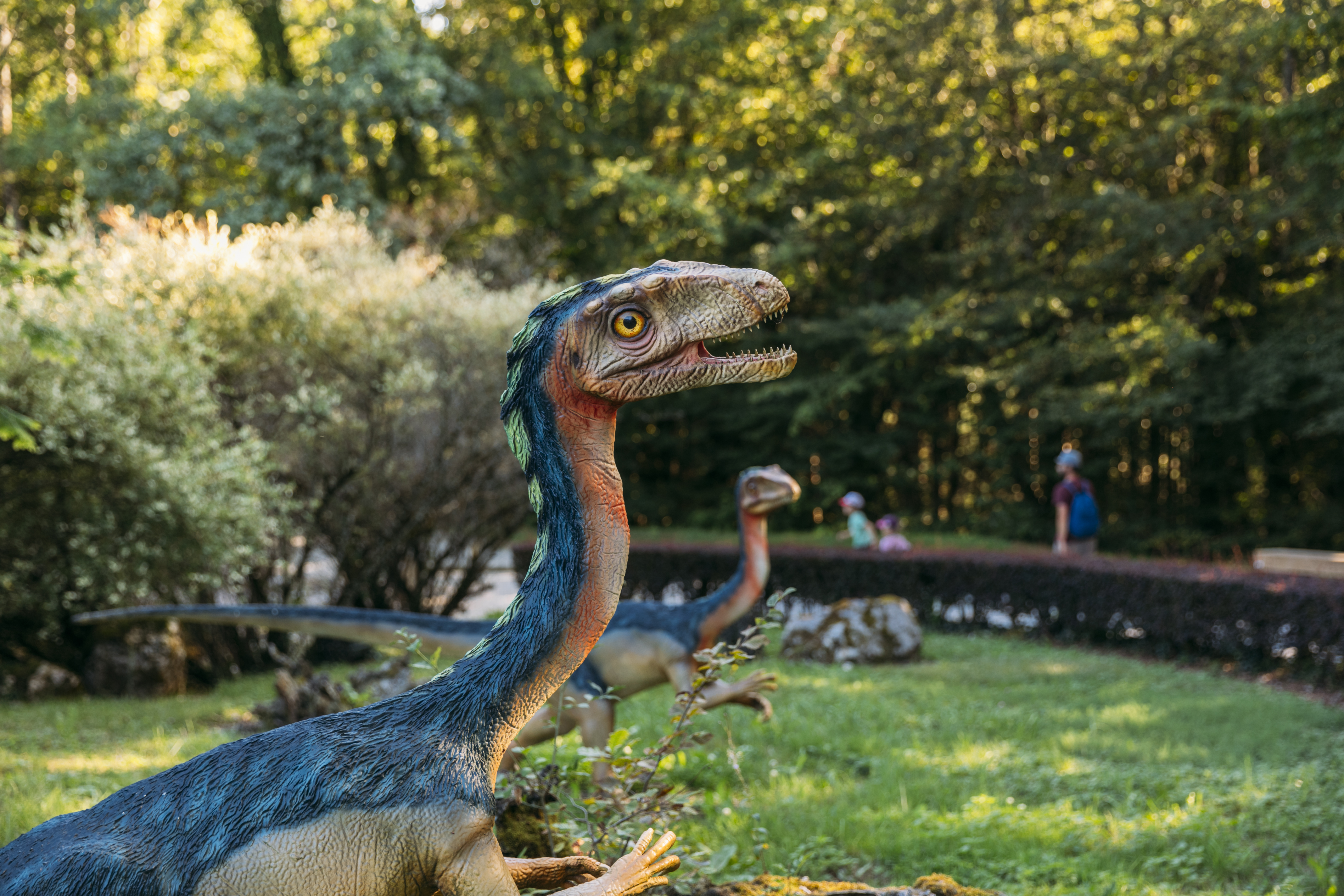 parcours dinosaure - parc dino-zoo