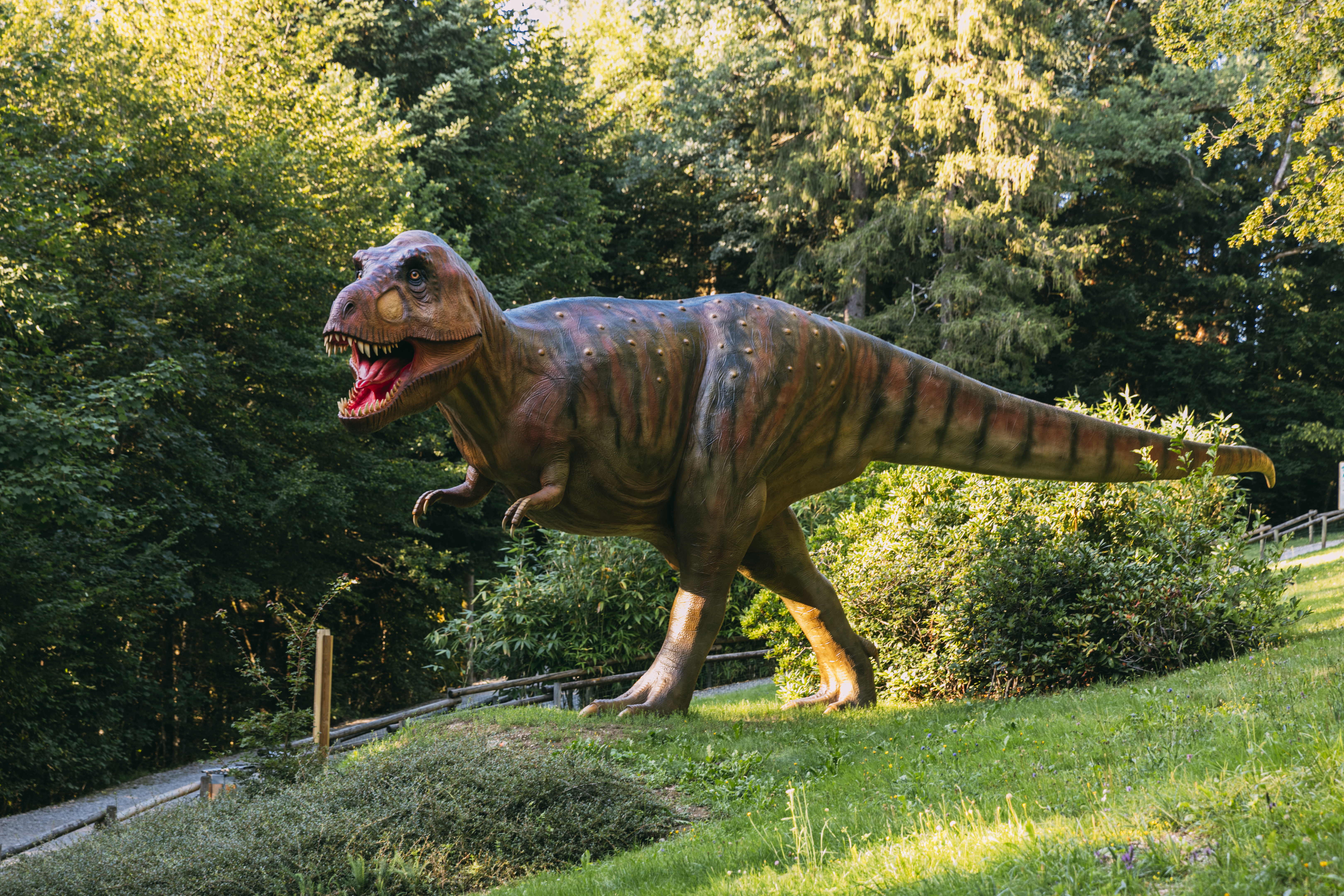 parcours dinosaure - parc dino-zoo