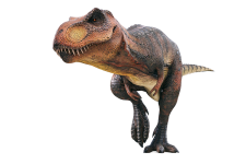 Le tyrannosaurus-rex