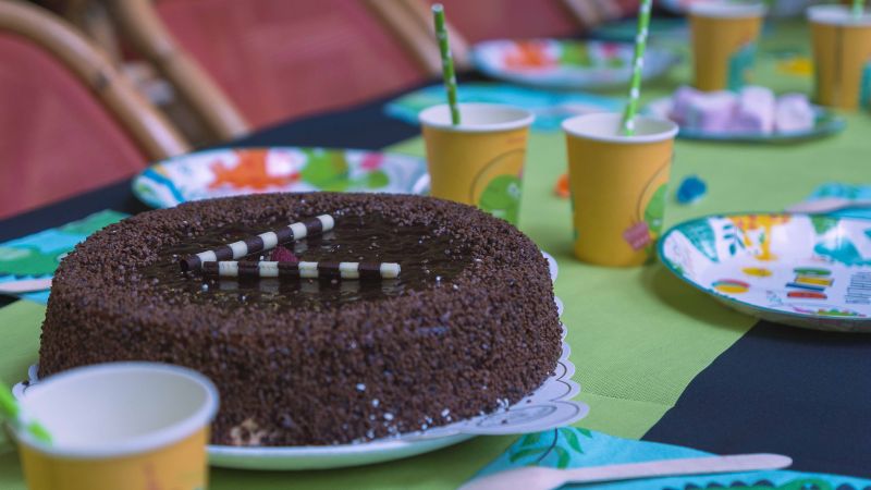 Anniversaire au Parc Dino-Zoo