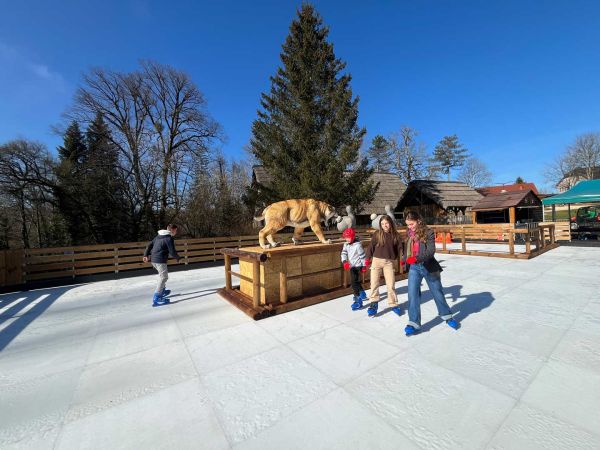 patinoire enfant
