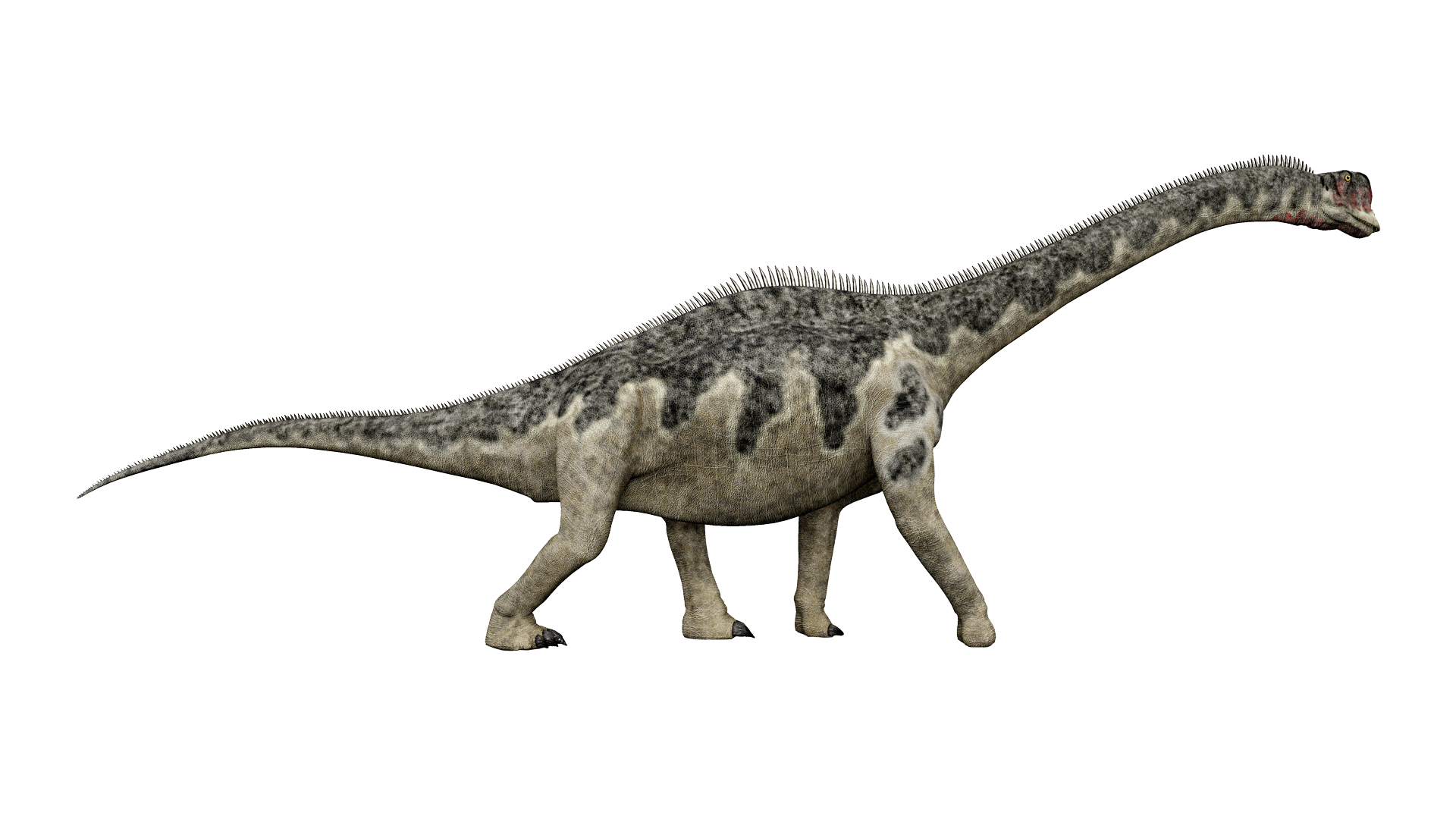 europasaurus
