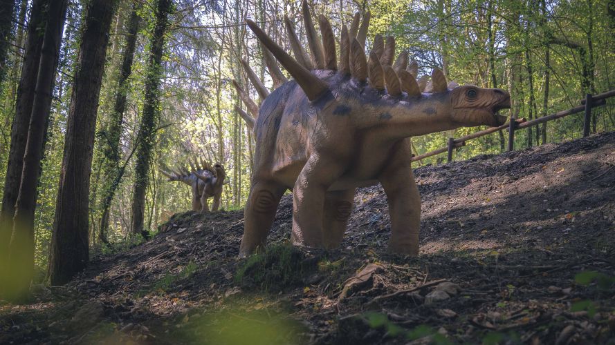 Parcours dinosaures - Parc Dino-Zoo