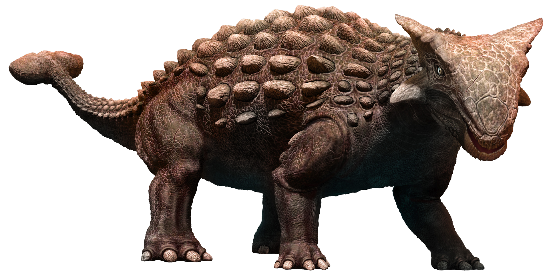 ankylosaurus