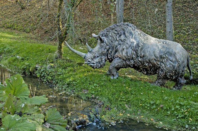 Parcours préhistoire - Parc Dino-Zoo