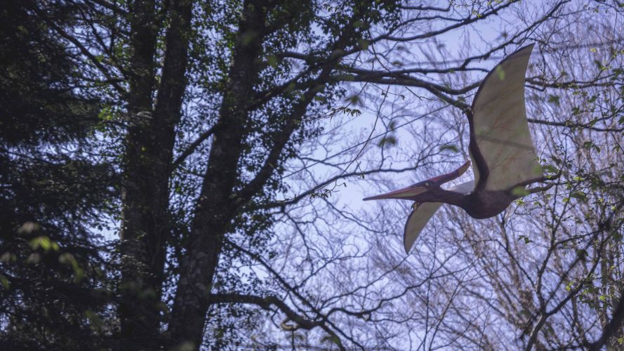 Parcours dinosaures - Parc Dino-Zoo