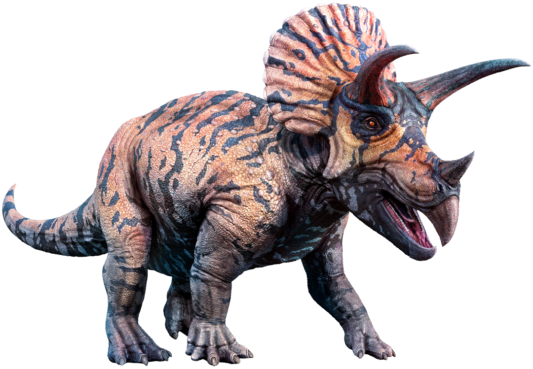 triceratops
