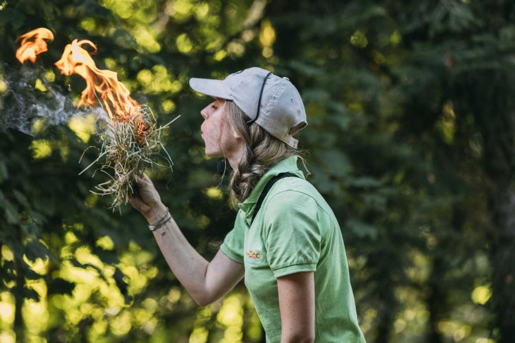 Animations - Parc Dino-Zoo