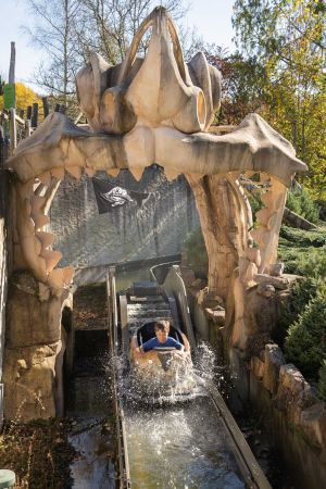 Megalodon - Mize en boite