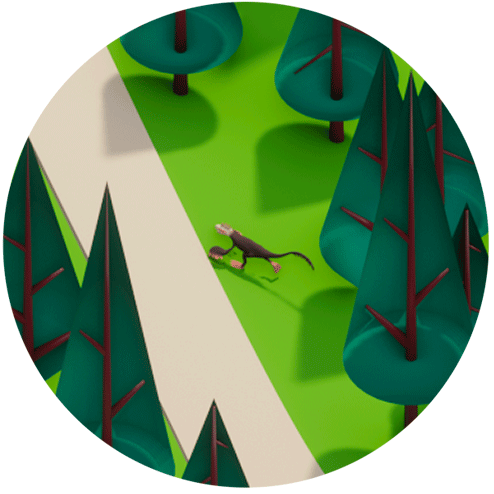 Ornitholestes