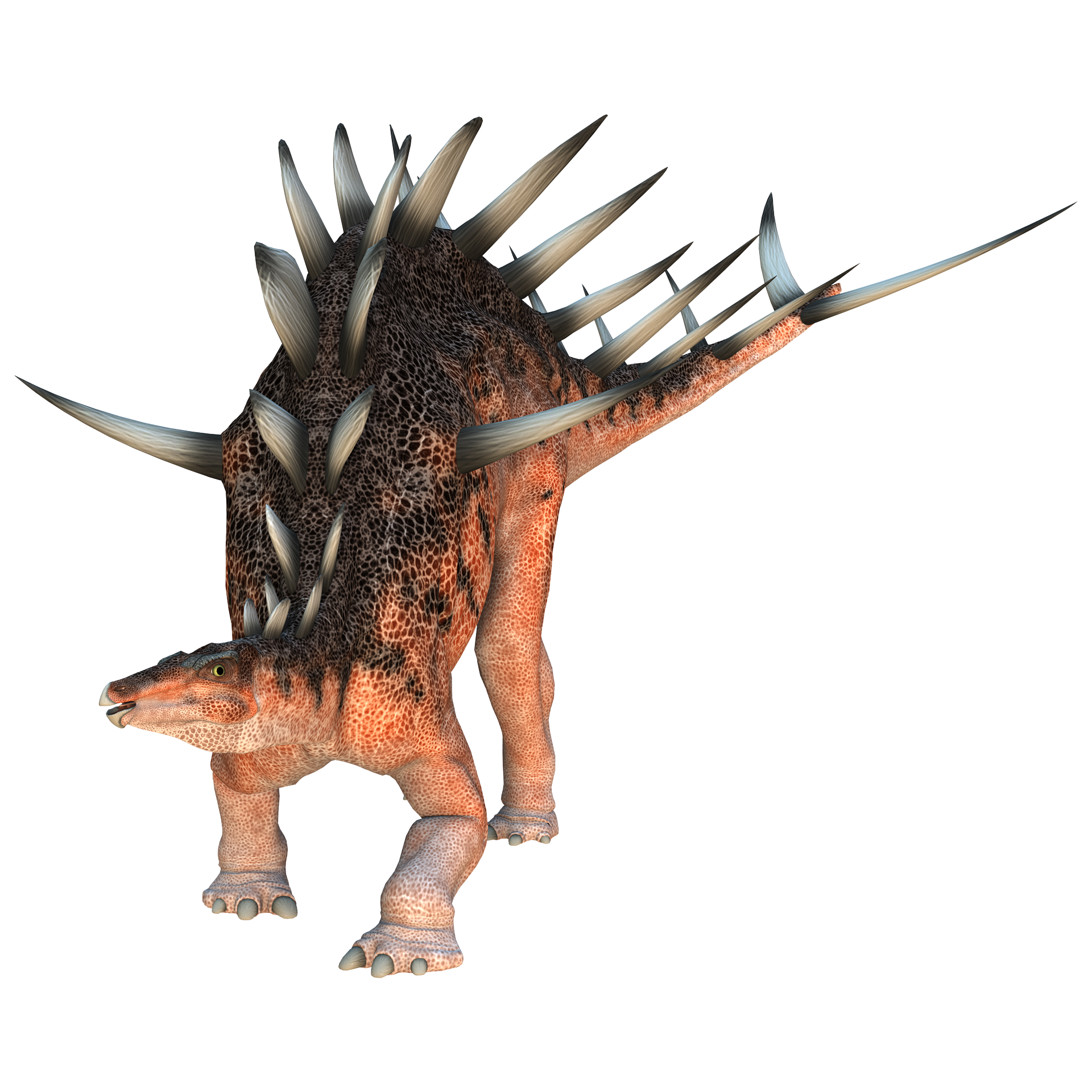 kentrosaurus