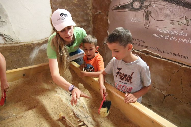 Animations - Parc Dino-Zoo
