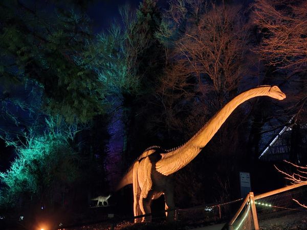 dinosaure éclairés