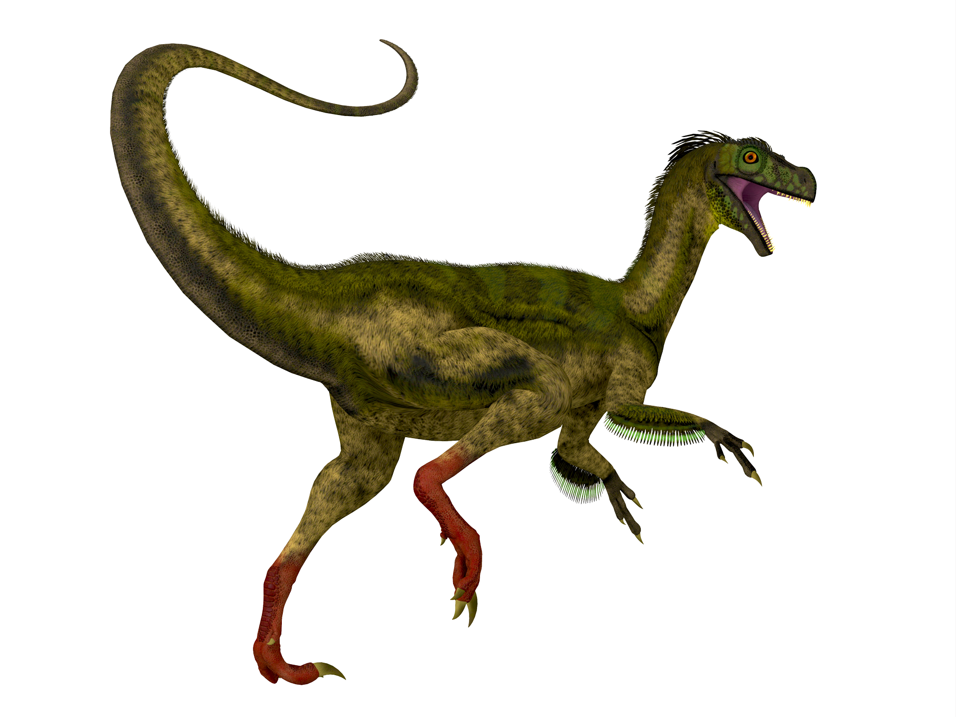 ornitholestes
