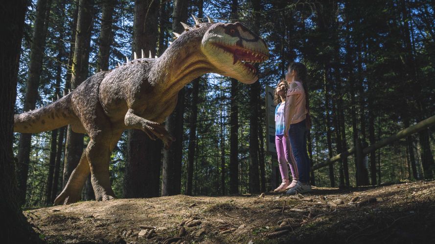 Parcours dinosaures - Parc Dino-Zoo
