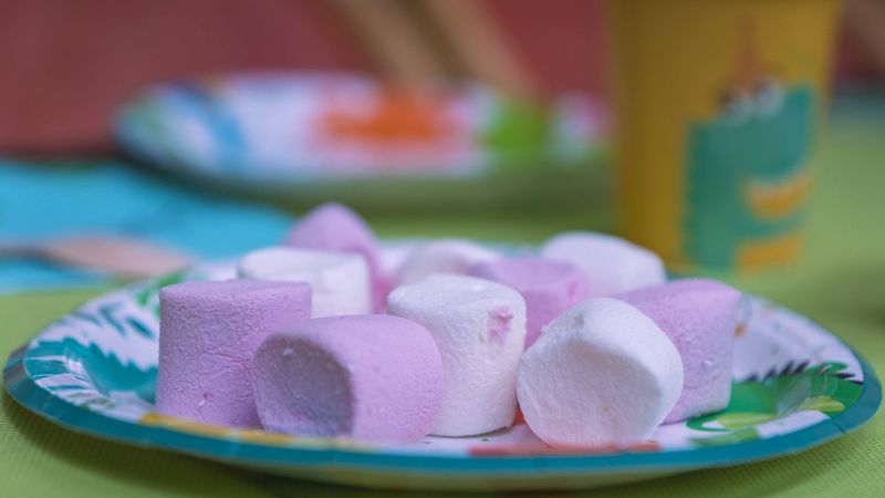 Anniversaire au Parc Dino-Zoo