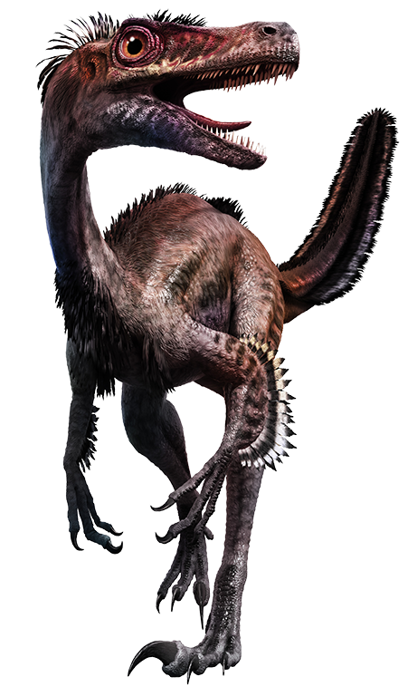 velociraptor