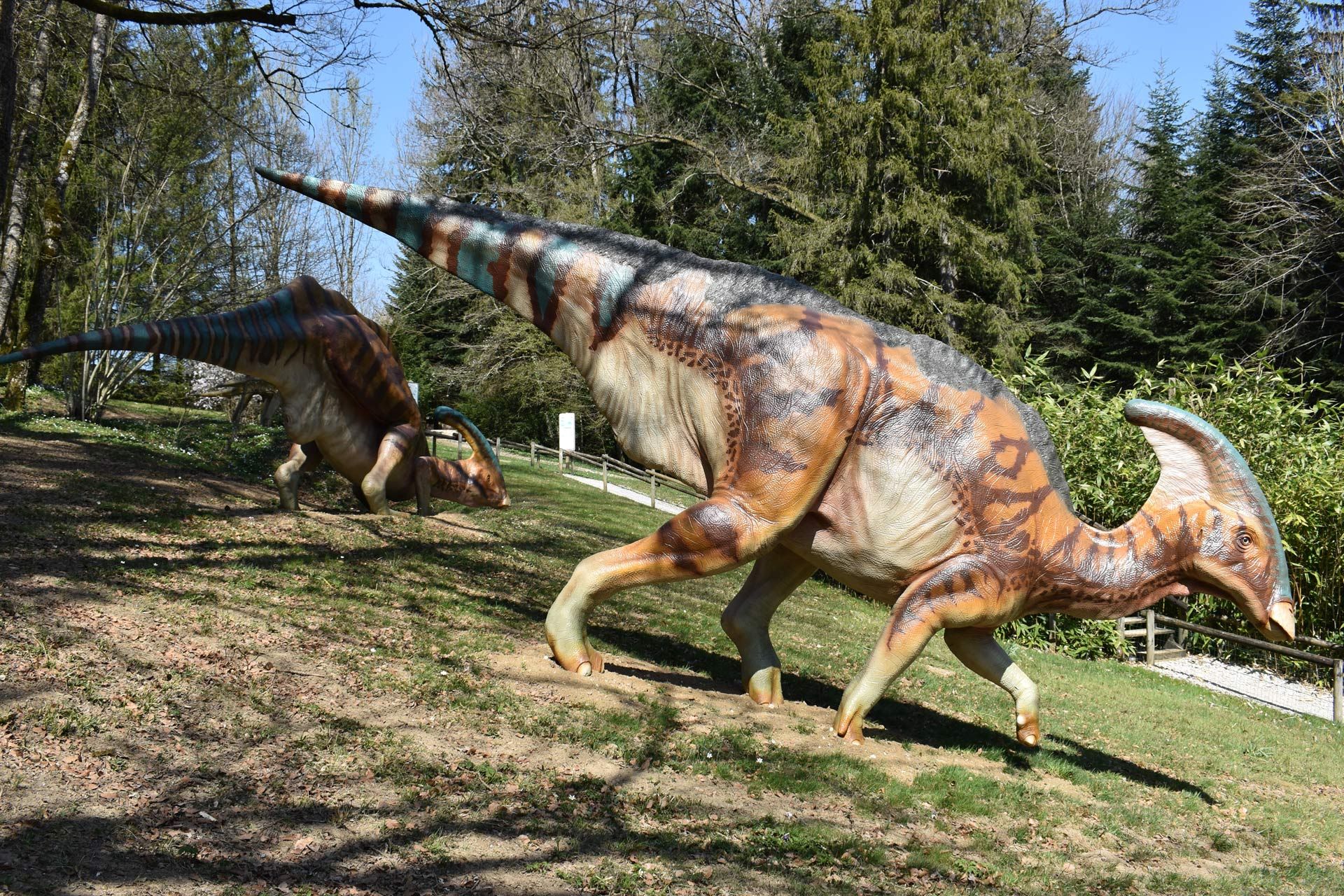 Parcours dinosaures - Dino-Zoo