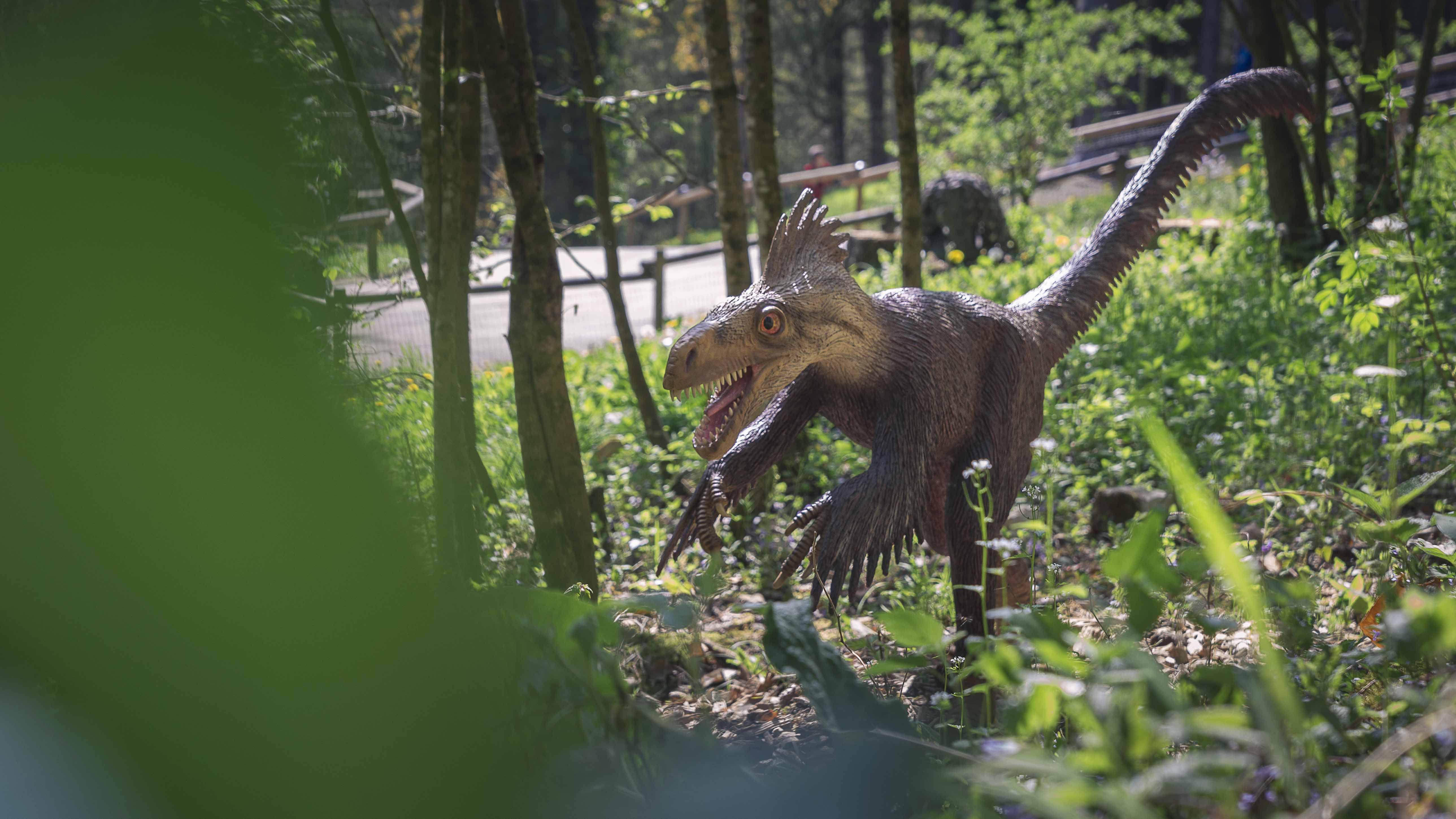 Parcours dinosaures - Dino-Zoo