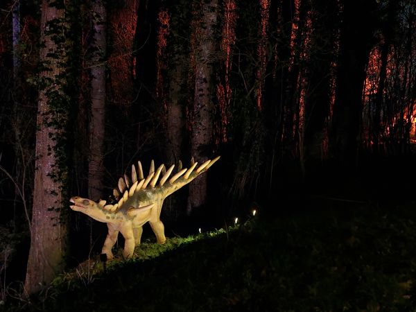 balade de nuit
