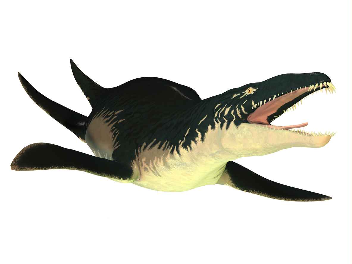Le Liopleurodon