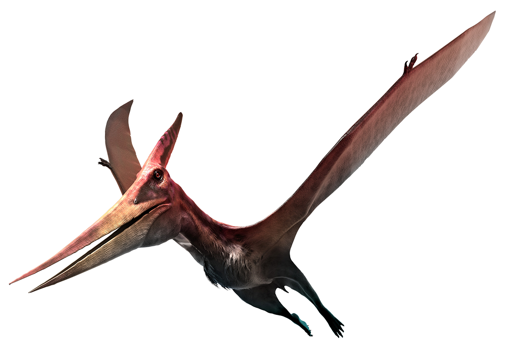 Le Pteranodon