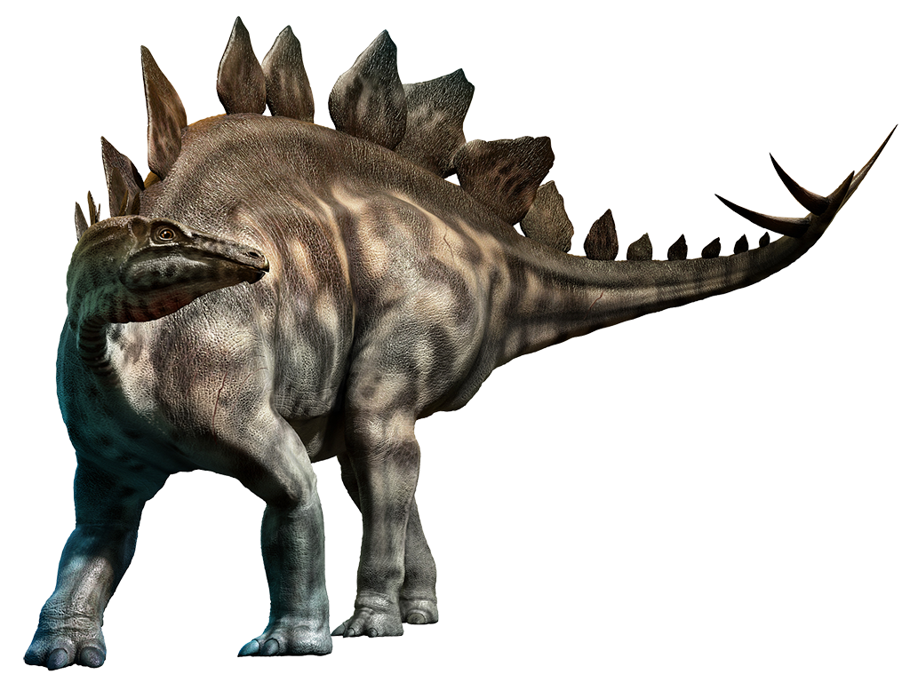 Le Tyrannosaurus-Rex