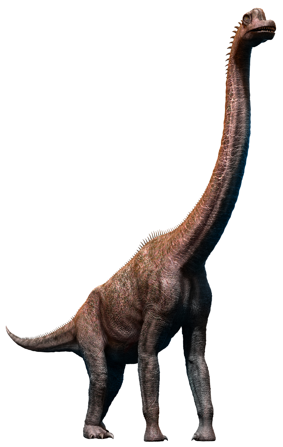 Brachiosaurus détouré