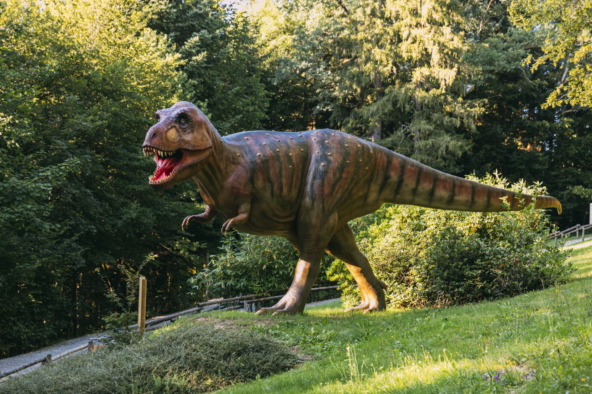 Parcours dinosaure : des dinosaures à taille réelle - Dino-Zoo