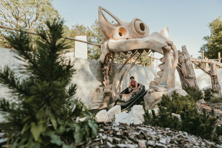 attractions - Parc Dino-Zoo