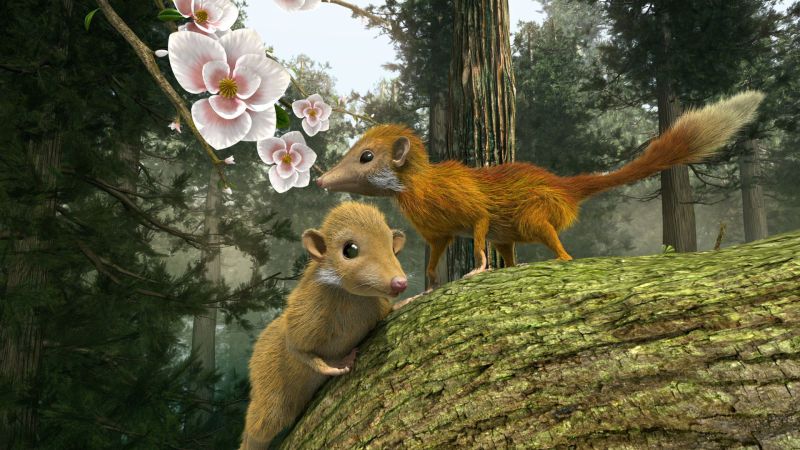 Cinema 4D - Dino-Zoo