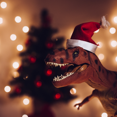 Boutique souvenirs du Parc Dino-Zoo