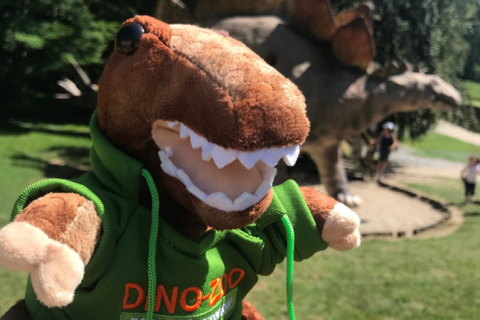 Boutique souvenirs du Parc Dino-Zoo