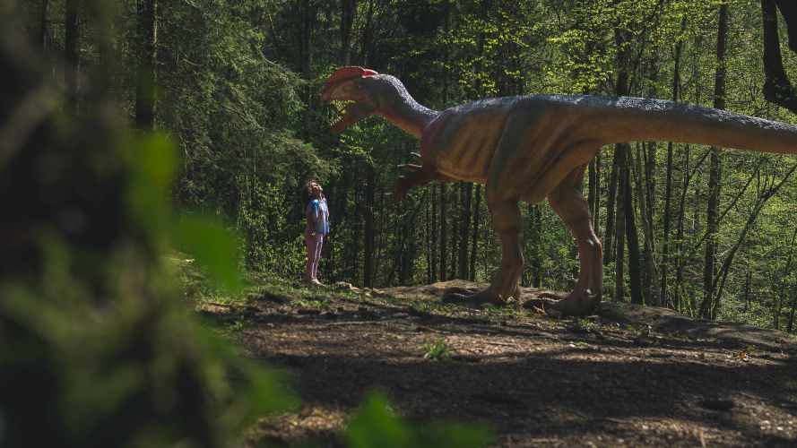 Parcours dinosaures - Parc Dino-Zoo