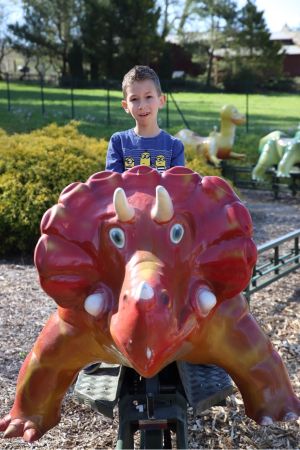 manege dinosaure