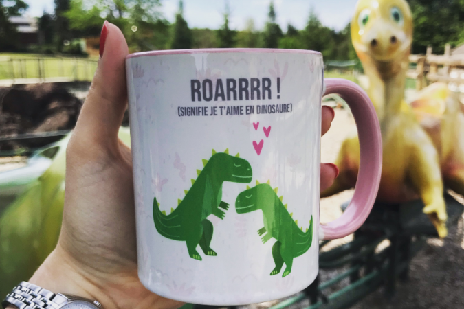 Boutique souvenirs du Parc Dino-Zoo