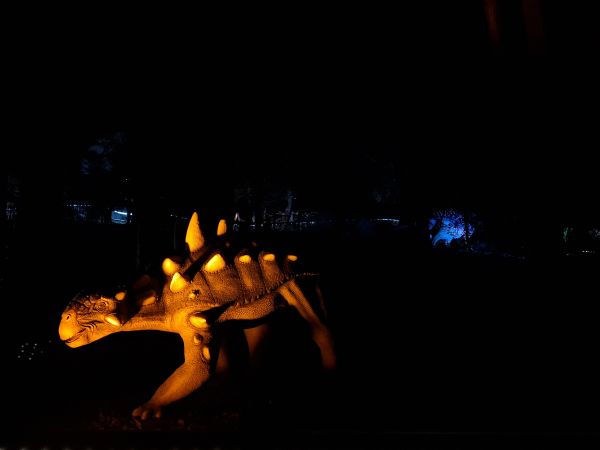 balade dinosaure nocturne