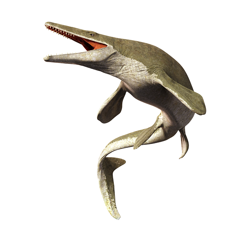 Mosasaurus