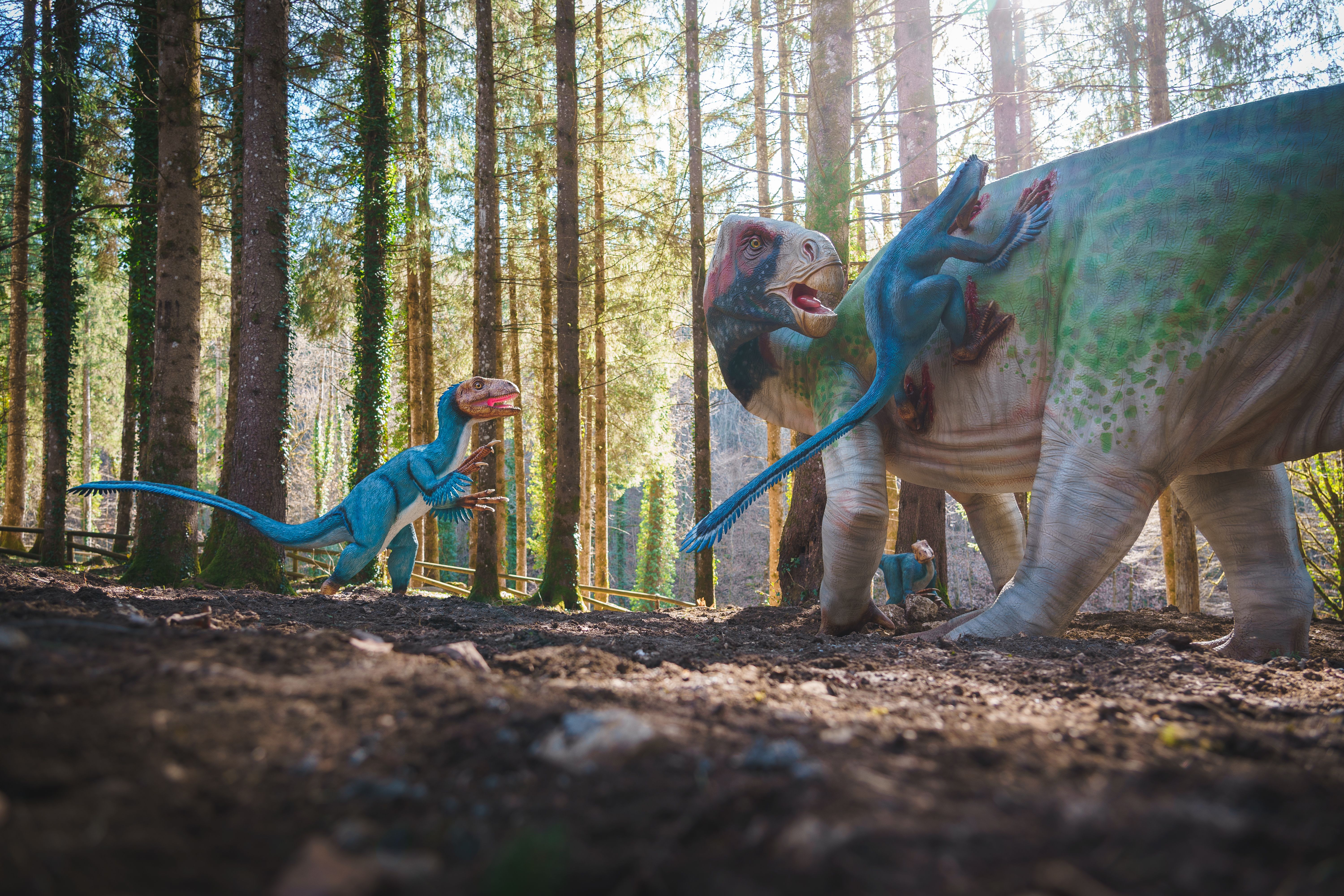 Parcours dinosaures - Dino-Zoo