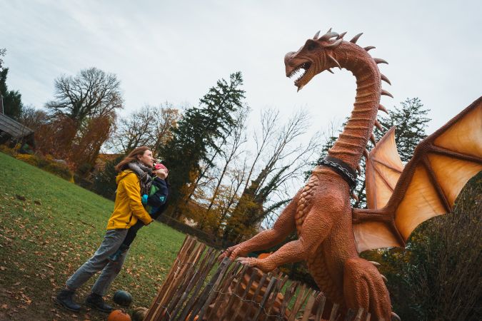 famille dragon