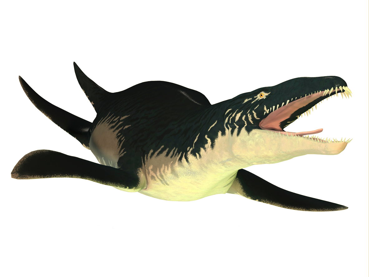 liopleurodon